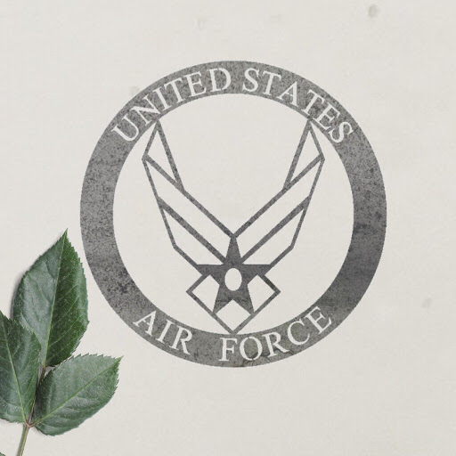 Military Emblem- Air Force