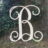 SALE- 35 piece BULK SET- 12" Vine on 1/2" Birch 35 pieces you choose the letters!